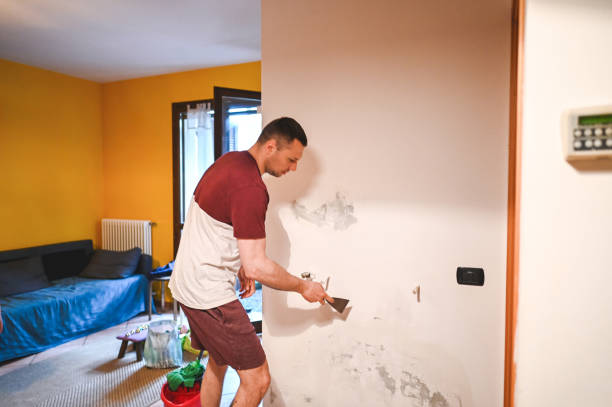 Best Residential Mold Removal  in Byram, MS